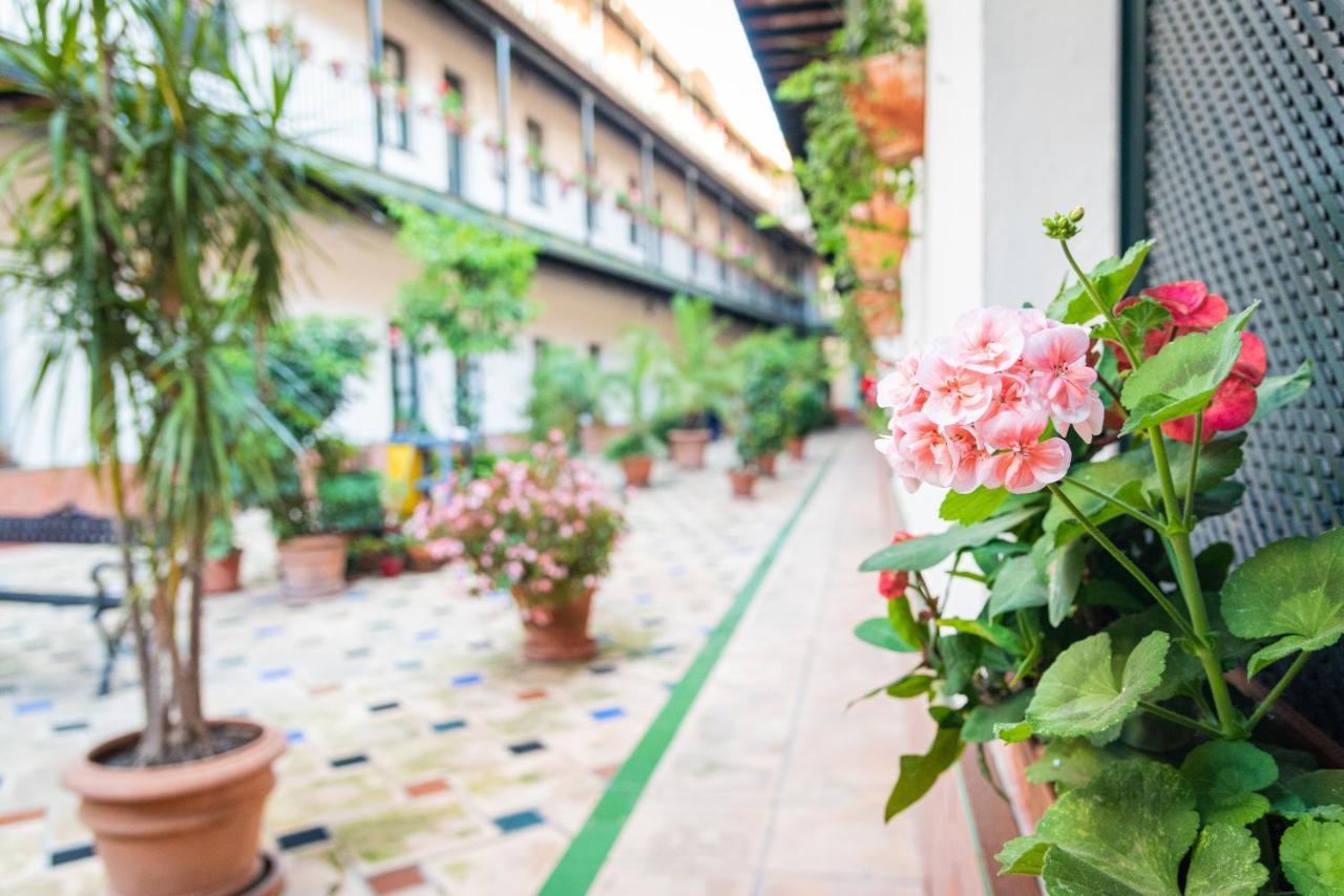 Hoteles Del Sur Sevilla Exteriér fotografie